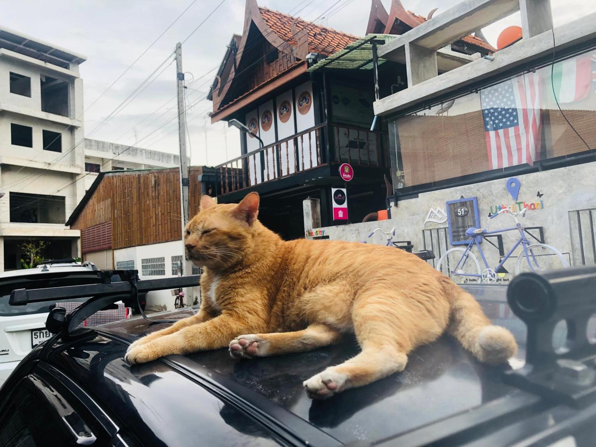 Solarcell Walking Street Homestay - โซล่าเซลล์ถนนคนเดินโฮมสเตย์ Ban Nong Nam Khan Εξωτερικό φωτογραφία